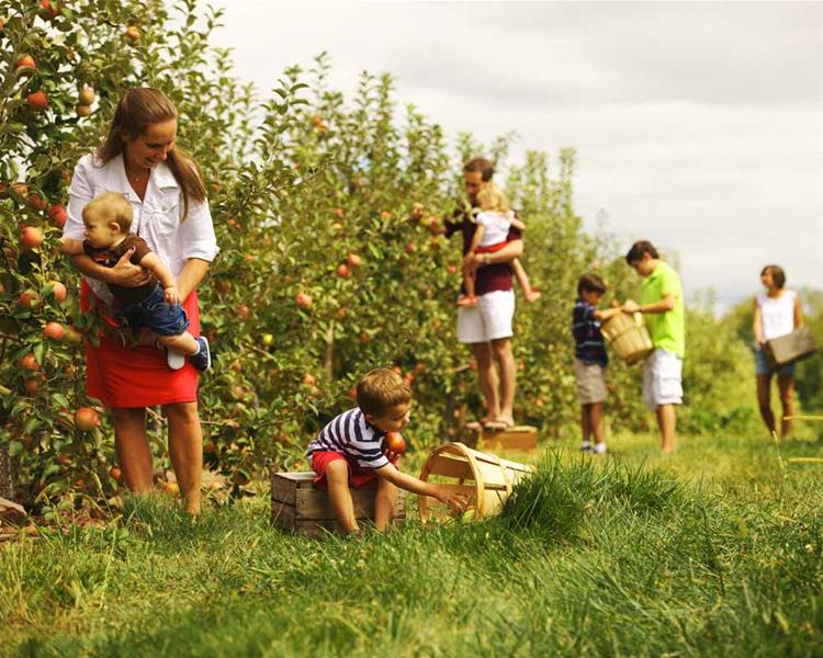 Eco Agro Tourism property image